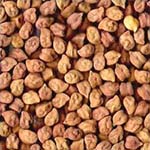 arhar dal Exporters in Delhi
