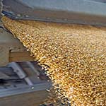 arhar dal manufacturers in India