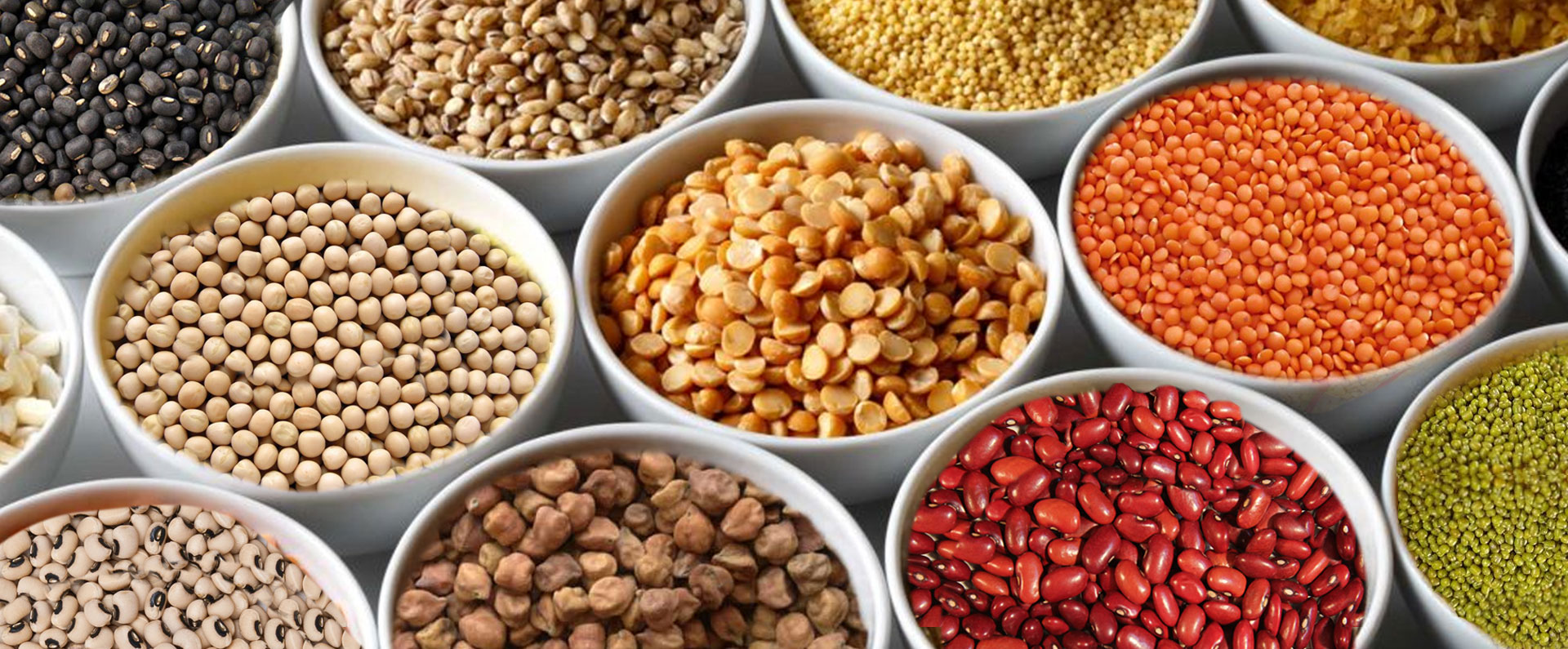 Best pulses manufacturers