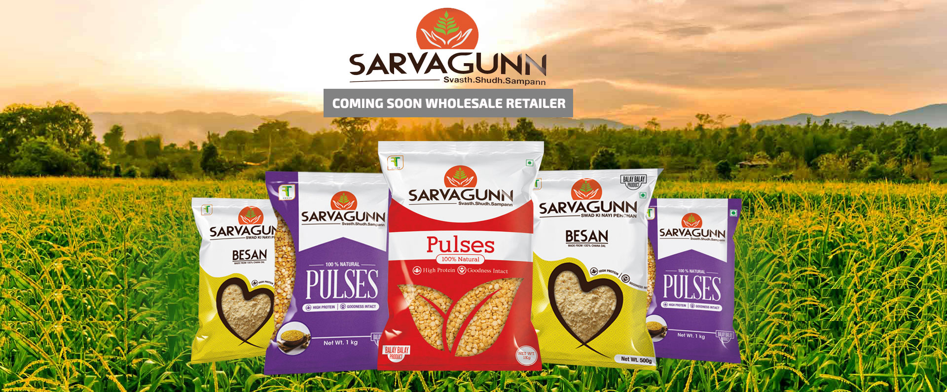 pulses manufacturers in Delhi