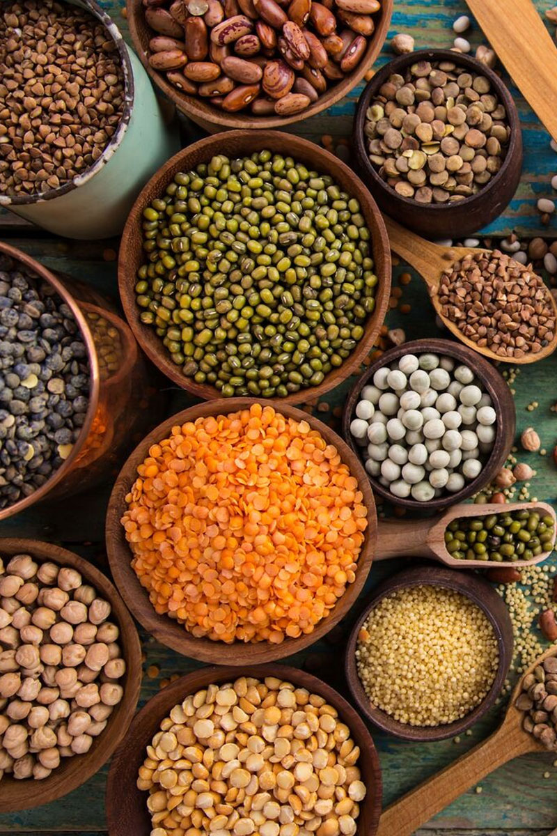 pulses Suppliers