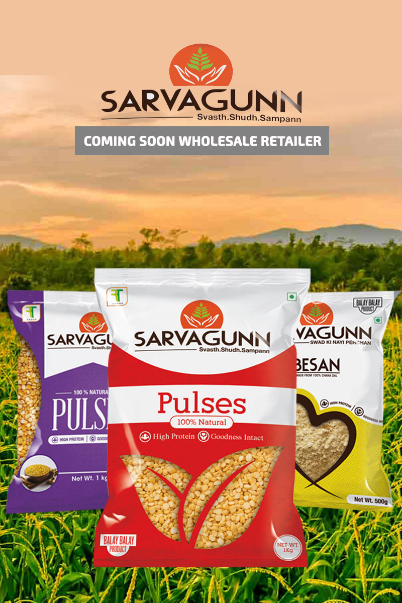 pulses Suppliers in Delhi